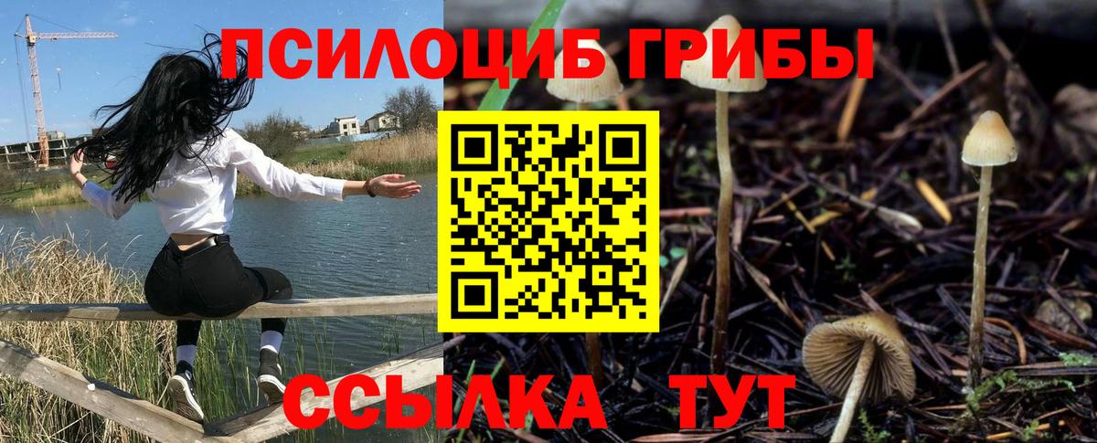 Галлюциногенные грибы мицелий  Вход с VPN  Шахты 
