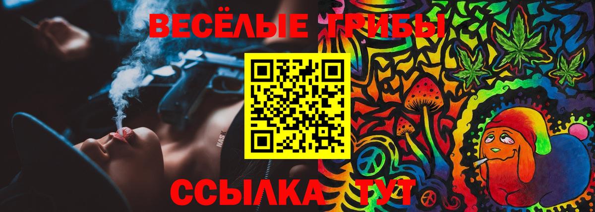 Псилоцибиновые грибы ЛСД Шахты
