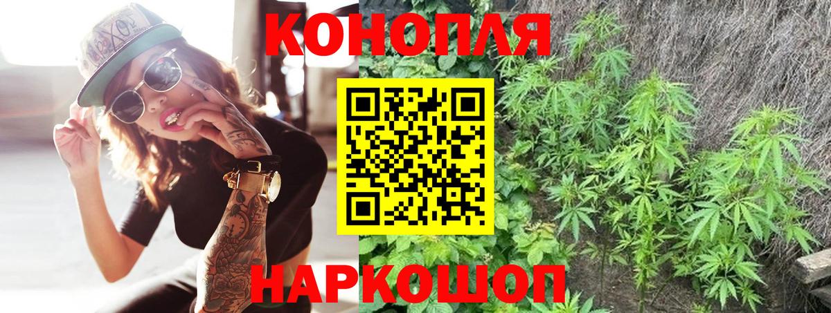 Шишки марихуана гибрид Шахты